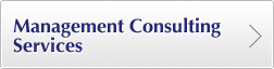 Management Consulting Services